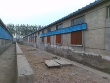 養(yǎng)豬場應(yīng)用