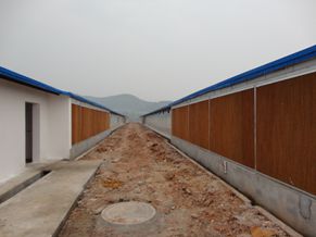 養(yǎng)雞場應(yīng)用